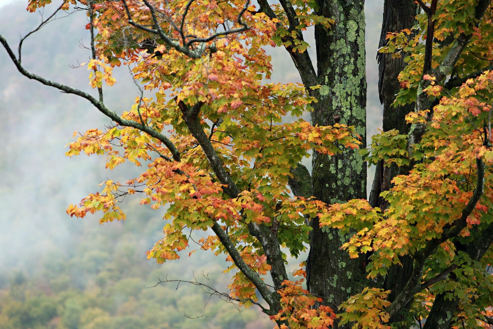 Trailside Inn Killington Esterno foto